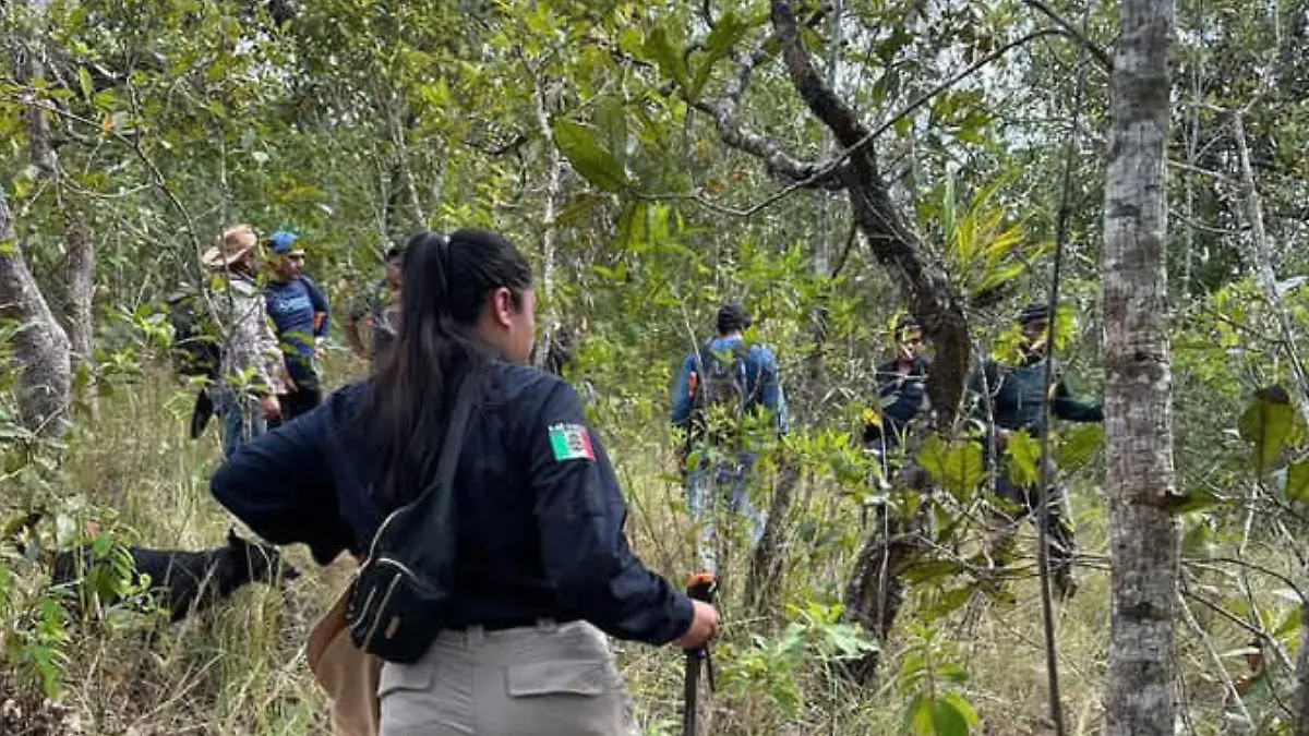 Personas desaparecidas oaxaca